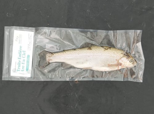 Nature et Saveurs - Ferme Aquaponique et Permacole Astérienne - Truite blanche moyenne aquaponique - 2kg