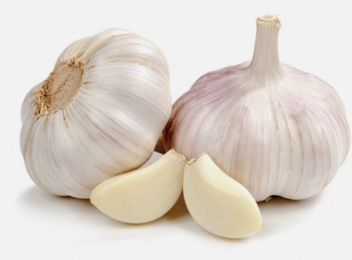 Des Poules et des Vignes à Bourgueil - Ail