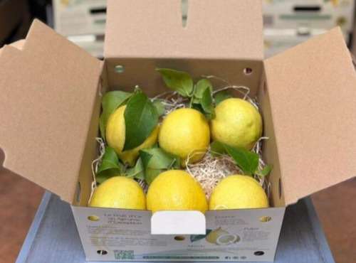 Les Hespérides - Coopérative de la Riviera Française - Citron de Menton IGP Extra 1kg