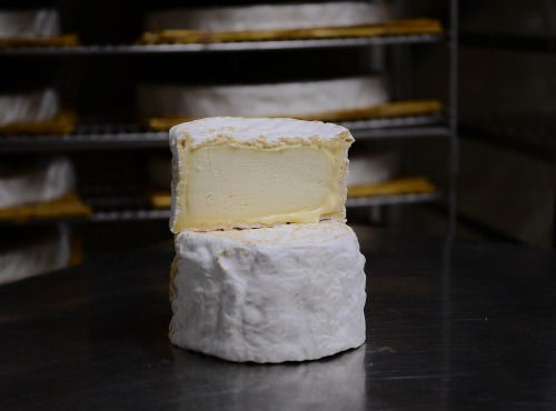 Alléosse Maitre Artisan Affineur Fromager - Chaource Fermier AOP au lait cru Entier