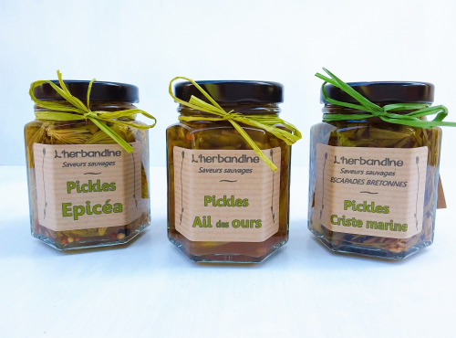 L'herbandine - Trio de Pickles Sauvages – Format Moyen