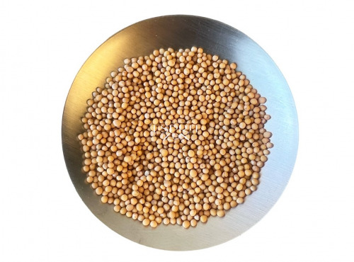 Esprit Zen - Graines de Moutarde blanche - Sachet refermable de 100g