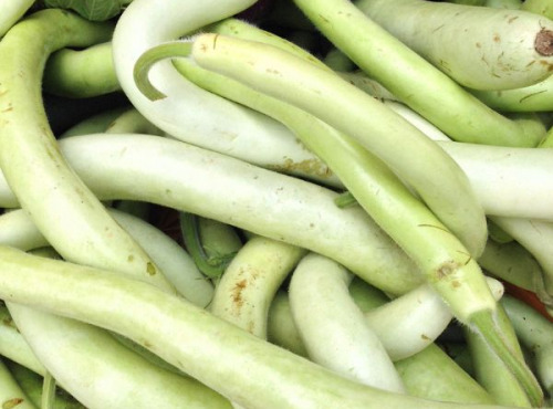 ChâteauFer - Courgette Longue 1kg