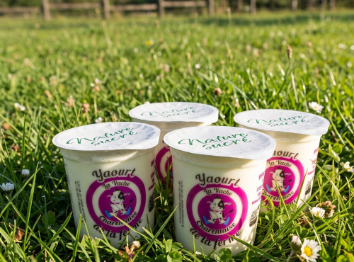 La Vache Charentaise - Yaourt fermier nature sucré x8