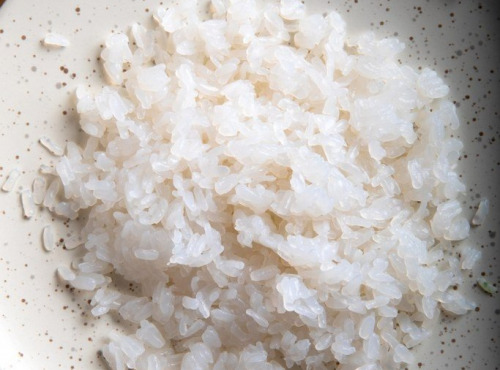 France-Konjac - Riz de konjac en vrac-Format restauration/ fabrication