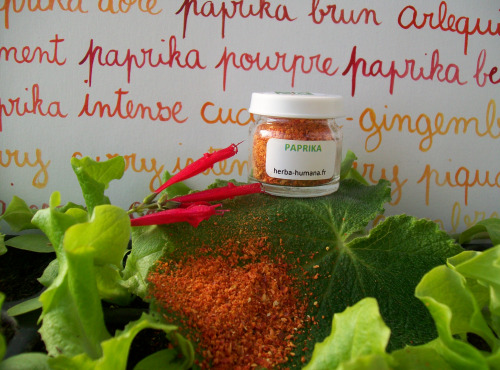 HERBA HUMANA - Paprika Bio Cultivé en France 3 g