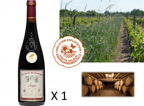 Château de Belleville Maison Baron - AOC Anjou Rouge 2017 : Cuvée du Toarcien (1 Bouteille)