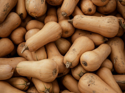 Nature et Saveurs - Ferme Aquaponique et Permacole Astérienne - Courge Butternut - 2kg