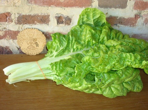 Ferme de Cernunnos - Bettes bio - 500g
