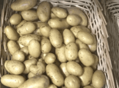 Ferme Sinsac - Pomme de terre en sachet de 500 grs