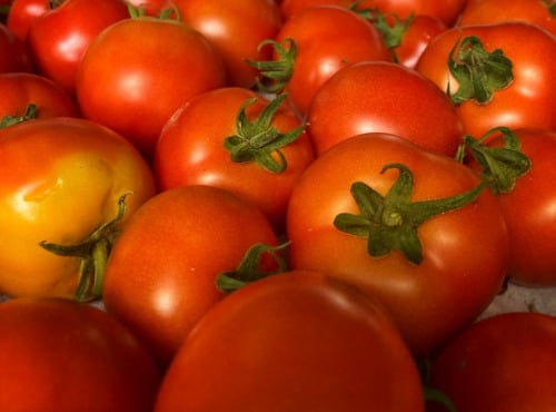 La Ferme d'Artaud - Tomates - 5kg