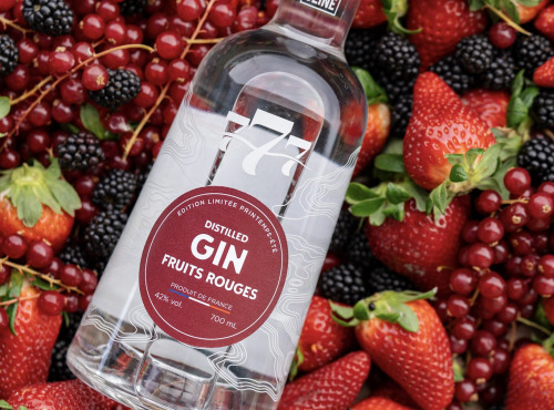 Distillerie de la Seine - Gin Fruits Rouges