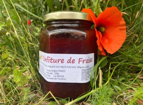 Des Poules et des Vignes à Bourgueil - Confiture de Fraises