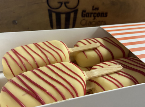 Les Garçons Glaciers - Lot de 8 Eskimauves Chocolat Passion BIO