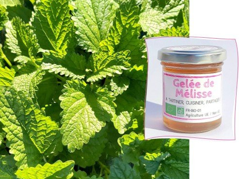 L'Agricueilleur du Suzon - Gelée de Mélisse Bio