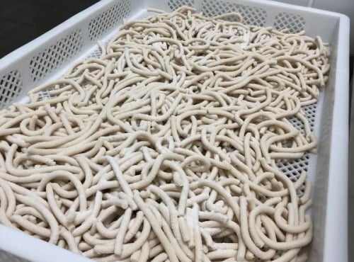 Lioravi, l'authentique pâte fraîche ! - [Précommande] Udon - 1kg