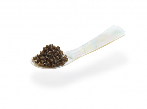 Caviar de Neuvic - Cuillère en nacre 5 cm
