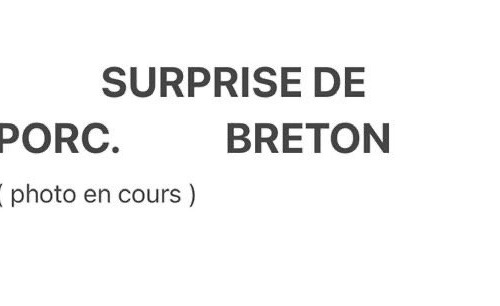 Ferme de la Paumerais - SURPRISE DE PORC BRETON 1 Kg
