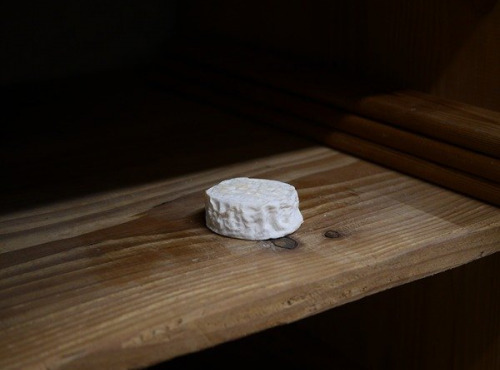 Alléosse Maitre Artisan Affineur Fromager - Saint Marcellin IGP moulé à la main au lait cru