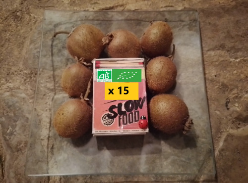 LES JARDINS DE KARINE - Kiwi Bio - 3kg