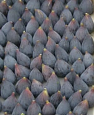 L'OLIVERAIE DU COUDON - FIGUES  MÛRES – LOT DE 4 PLATEAUX DE 1,8 KG ##ATTENTION BIEN LIRE DESCRIPTION##