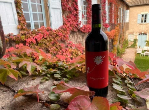 Château des Bachelards - Fleurie AOC, Pâquerette 2018, le Fleurie sur le Fruit d'Alexandra - Bio et Demeter - 2 Bouteilles