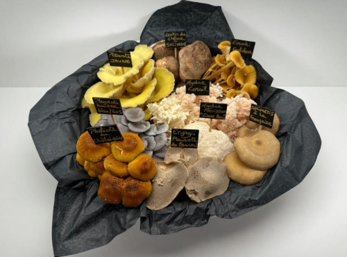 Naturélium - Panier mix du moment 4kg