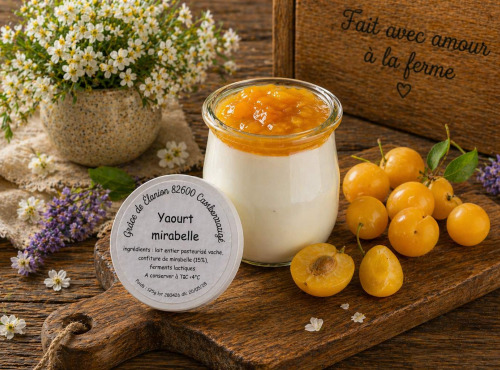 Gaec de l'Elanion - Yaourt Confiture Mirablle 125g