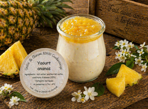 Gaec de l'Elanion - Yaourt Confiture Ananas 125g