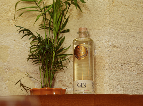 Maison Mounicq - Gin Avem - Sylvia - Liqueur de gin à la fleur de sureau