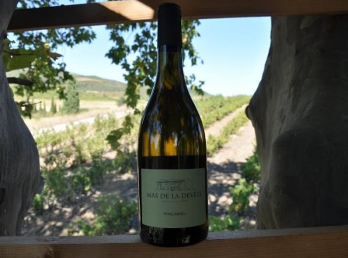 Mas De La Devèze - Côtes Catalanes IGP - Macabeu 2021 - 75 cl