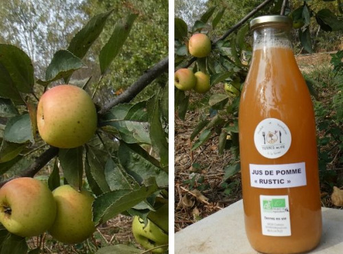 Terres EnVie - Jus De Pommes Bio « rustic » Variétés Anciennes