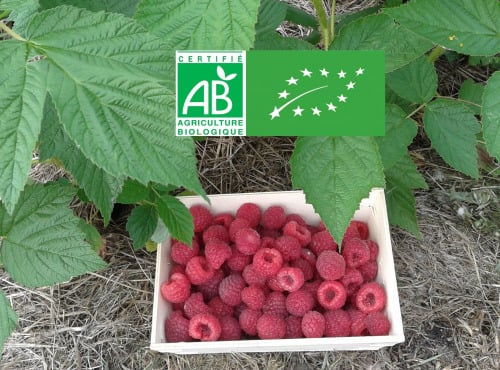 LES JARDINS DE KARINE - Framboise d'automne surgelée - 500g