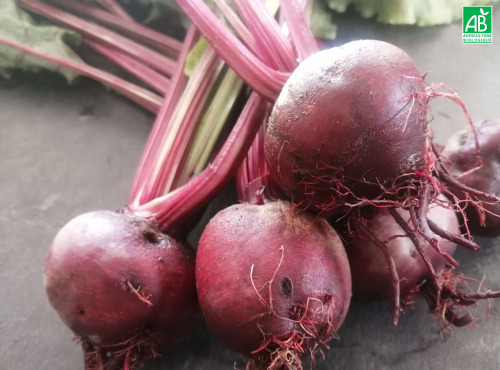 Ferme de Carcouet - Betteraves Rouge Bio - 3 kg