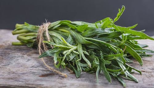 La Boite à Herbes - Estragon Frais - Sachet 100g