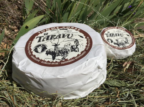 Depuis des Lustres - Comptoir Corse - Tomme de brebis U Taravu, entière - 2,1 Kg