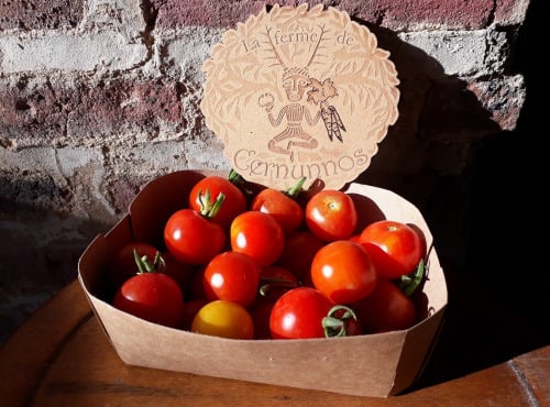 Ferme de Cernunnos - Tomates apéro - 500g