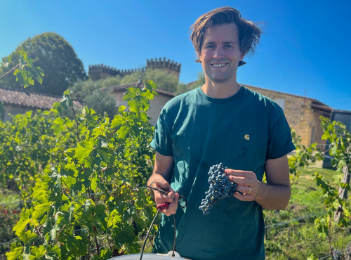 Domaine Sauvagine - Sauvagine Rouge - Vin Bio & cépage résistant