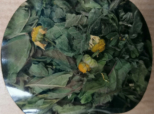 Les Jardins du Mas de Greil - Melisse-menthe-camomille, Tisane Composée
