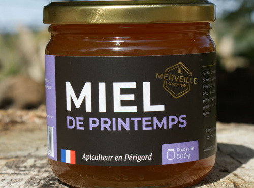 Merveille Apiculture - Miel de printemps liquide