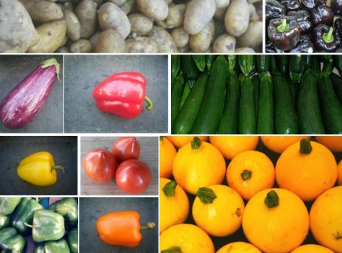 Multiproductions - Cédric Joliveau - Panier de Légumes Ensoleillés - 13 kg