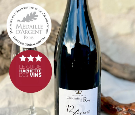 Domaine de la Chopinière du Roy - Vin rouge Saint Nicolas de Bourgueil - Cuvée 12 arpents 2023 - 6x75cl
