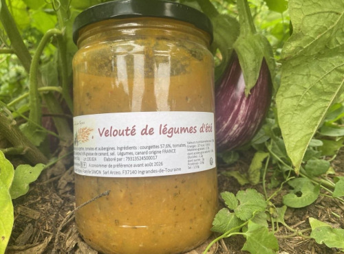 Des Poules et des Vignes à Bourgueil - Soupe de légumes d’été