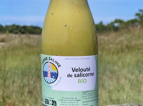 Rivesaline - Terre Saline - Velouté salicorne BIO 750 ml