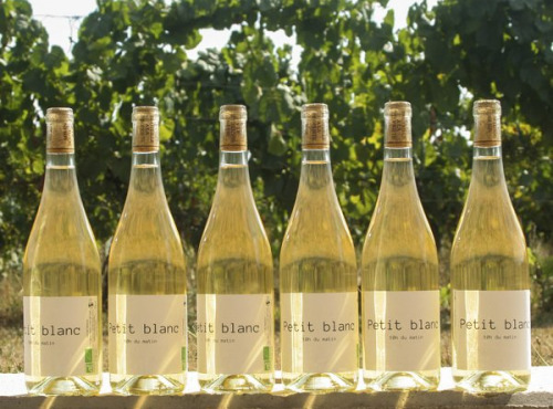 Domaine la Paganie - Vin blanc Bio - Petit blanc - 6 bouteilles