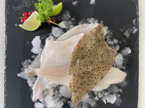 Notre poisson - Filet de turbot avec peau 1000gr