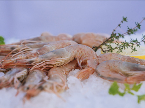 Côté Fish - Mon poisson direct pêcheurs - Crevettes 500g