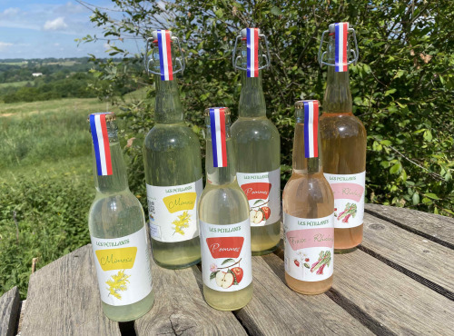 Ferme Sinsac - Trio de pétillants sans alcool 33 cl (mimosa, pommes, fraise-rhubarbe) x 12