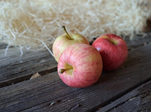 Les Jardins de Gérard - Pomme Gala Bio - 1 kg