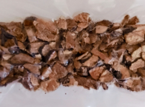 Ferme de Pourcier - Truffe surgelée - Truffe d'été brisures - 100g